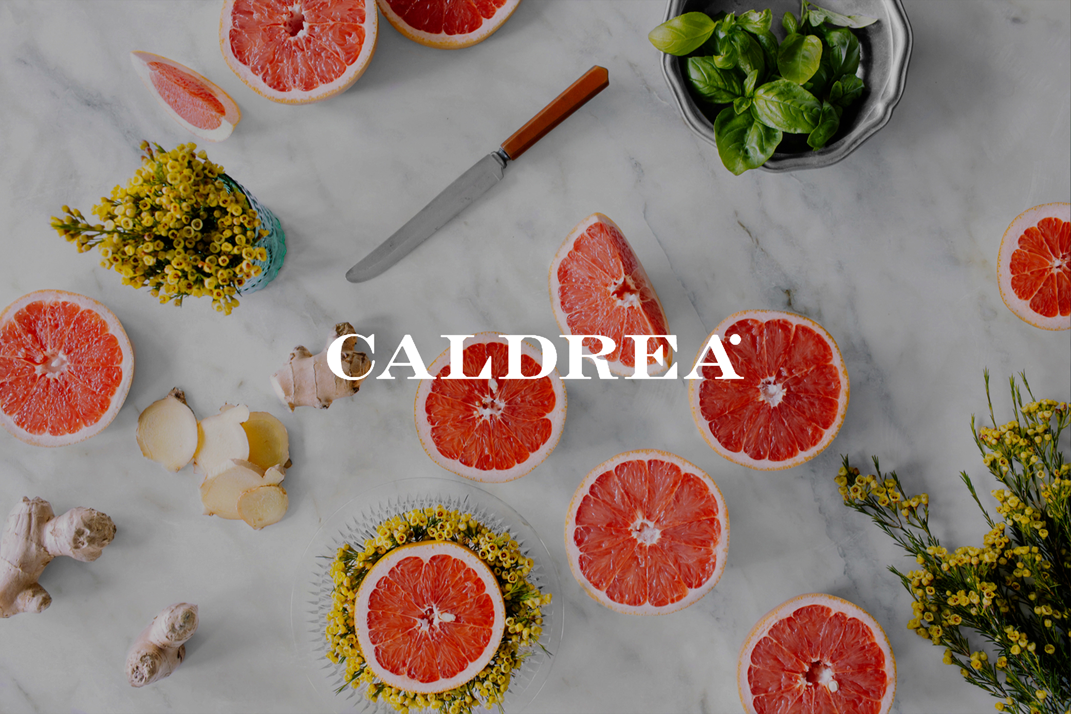 richter-website-cover-caldrea